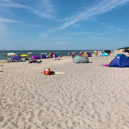 Luett Kajuet - Fip Park