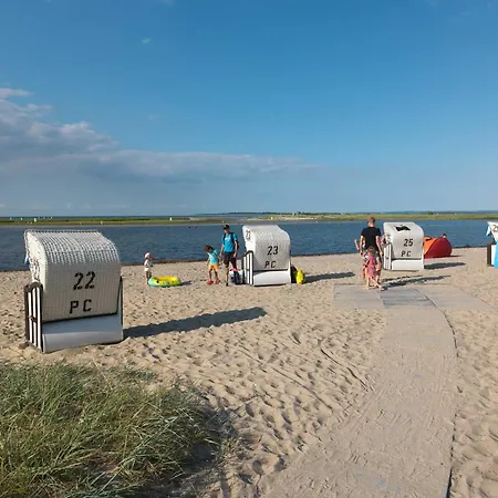 Luett Kajuet - Fip Park *